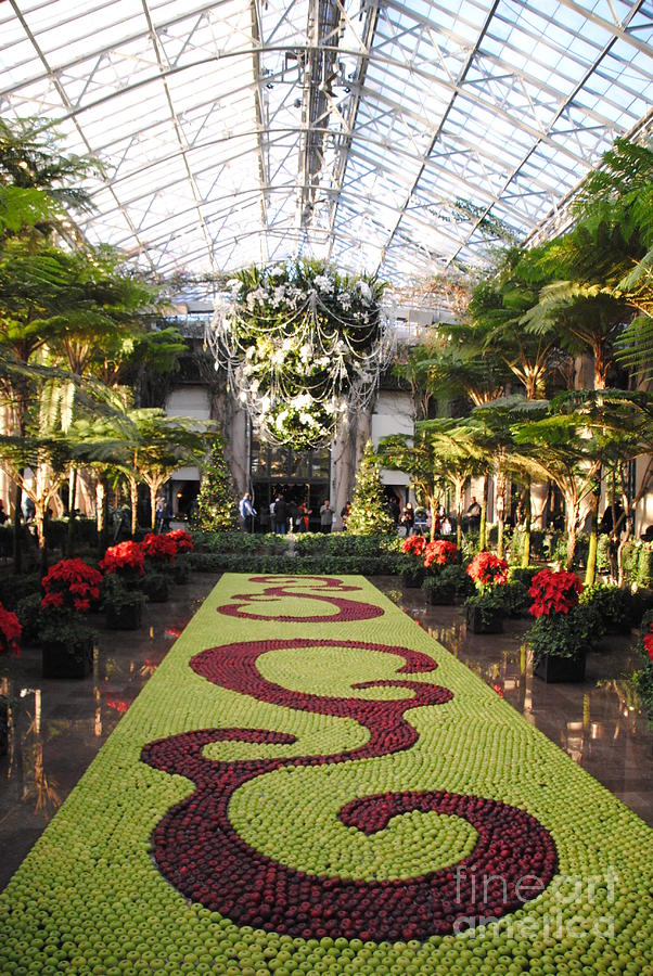 Longwood Gardens Christmas Photograph by Jacqueline M Lewis