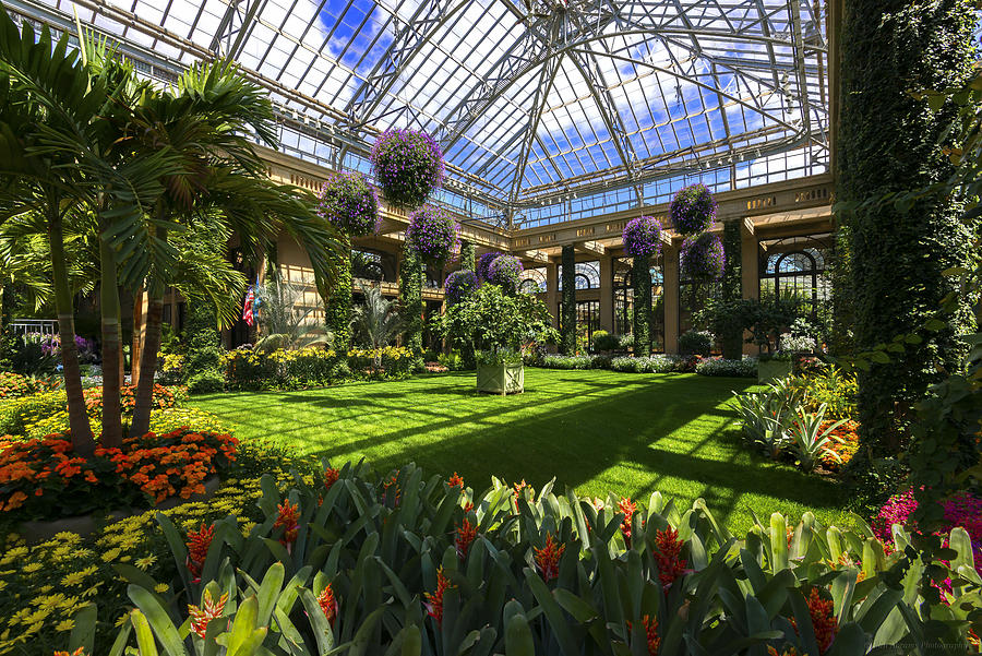 Longwood Gardens Conservatory Photograph by Phil Abrams