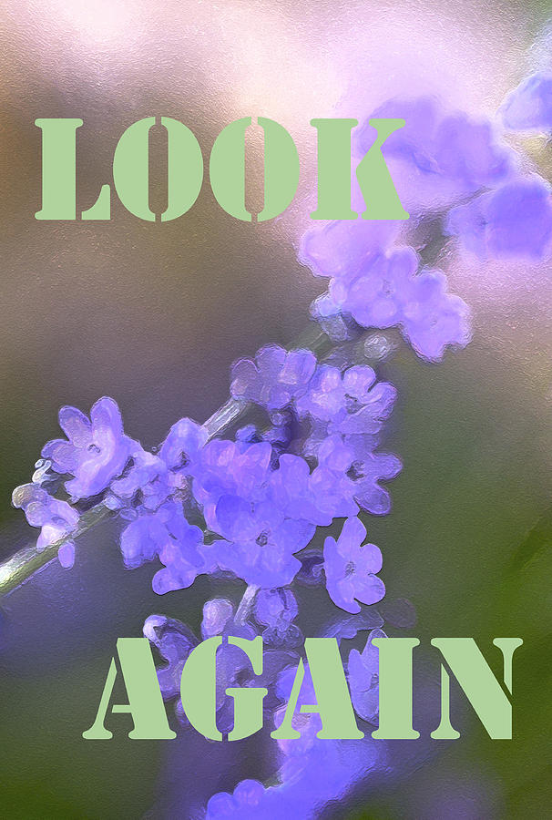 Look Again Photograph by Pamela Cooper