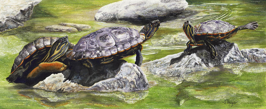 Turtle Painting - Look at Me Ma by Susan Moyer
