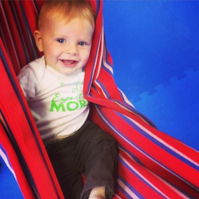 Look At This Little Ham In A Hammock Photograph by Stephanie Brown