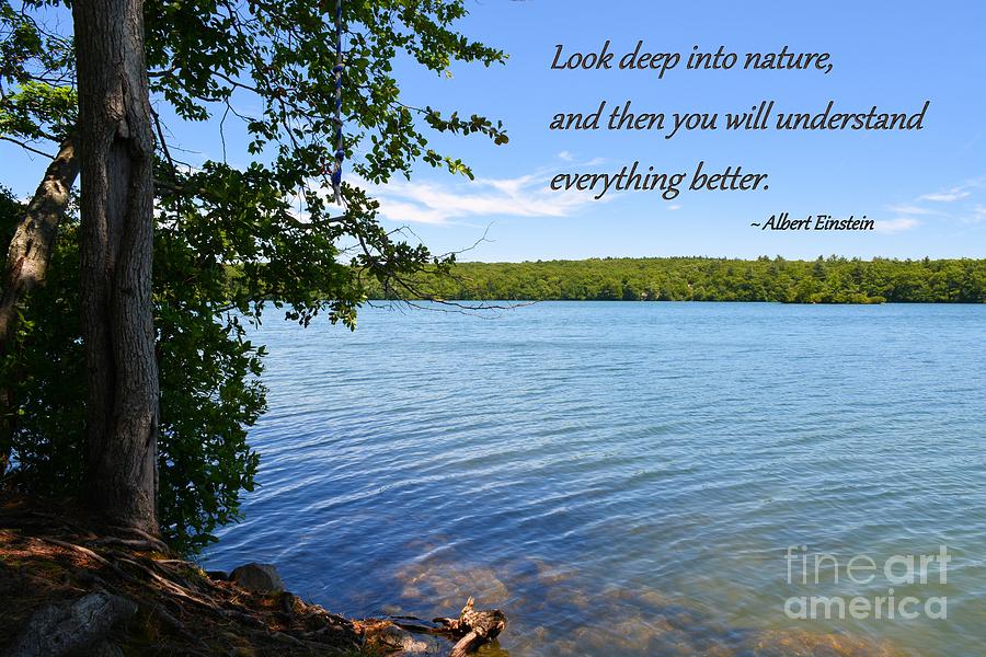 Look Deep into Nature Photograph by Tammie Miller