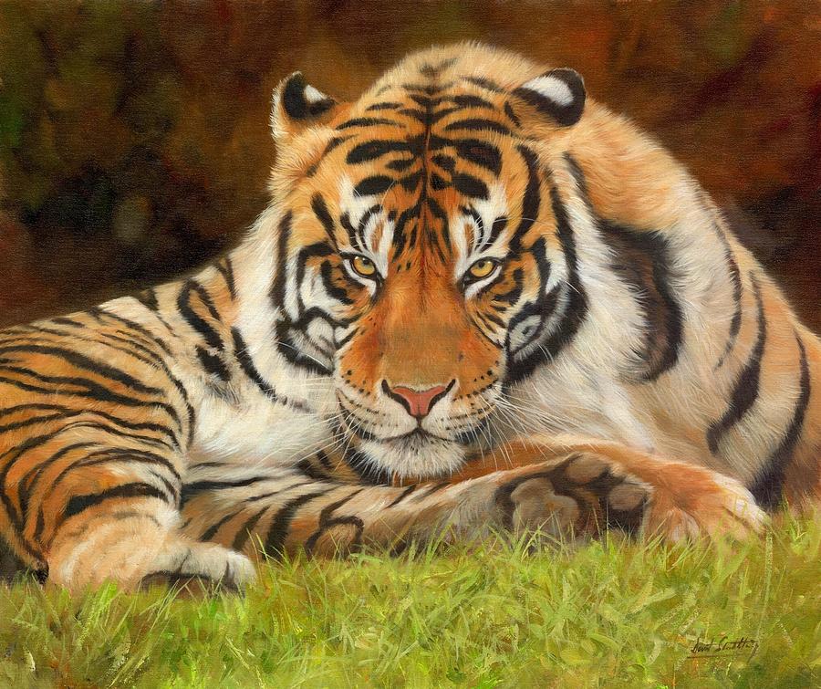 Wildlife Painting - Look Into My Eyes by David Stribbling