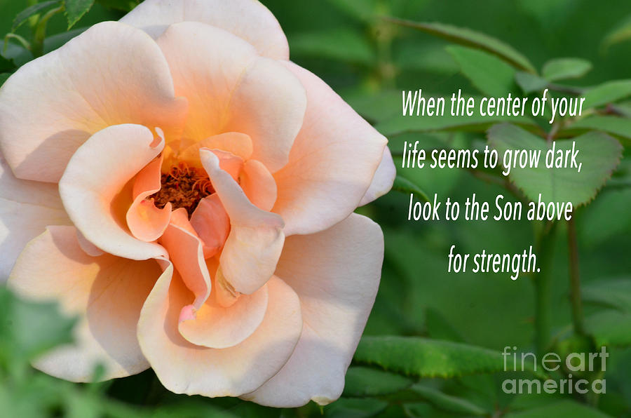 Look to the Son for your Strength Photograph by Debby Pueschel