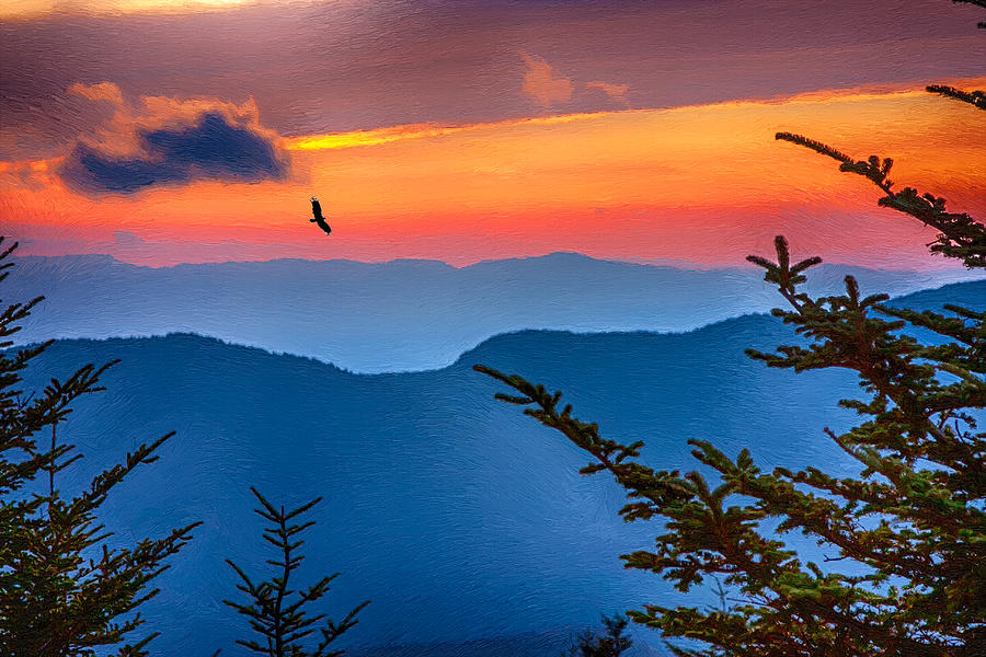 Look to the Sunset from the Top of Mount Mitchell Painting by John Haldane