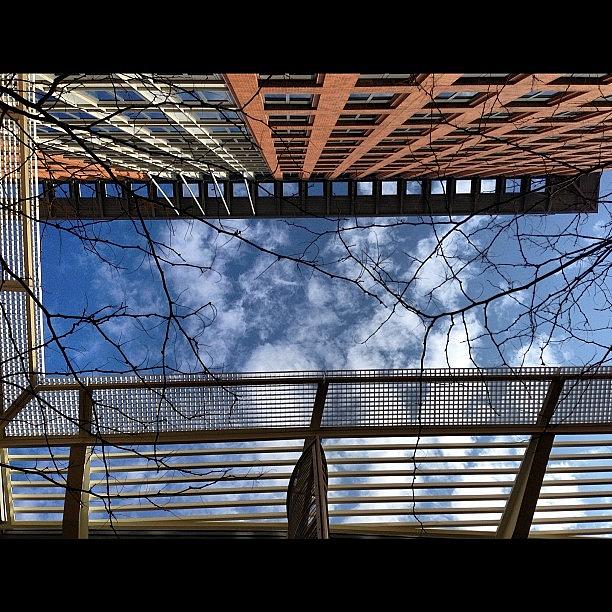 Up Movie Photograph - Look Up #iphone #iphoneonly #igdaliy by Corey Sheehan