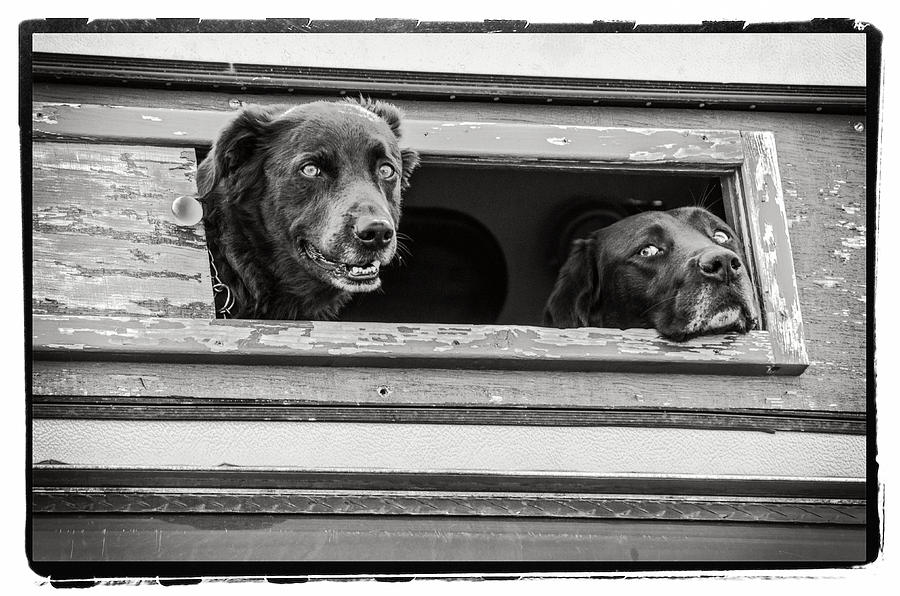 Black And White Photograph - Lookin Out For You by Craig Perry-Ollila