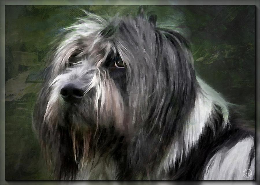 Dog Portrait Digital Art - Looking a little sad by Gun Legler