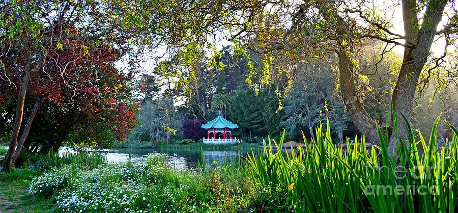 Looking Across Stow Lake at the Pagoda in Golden Gate Park Photograph by Jim Fitzpatrick
