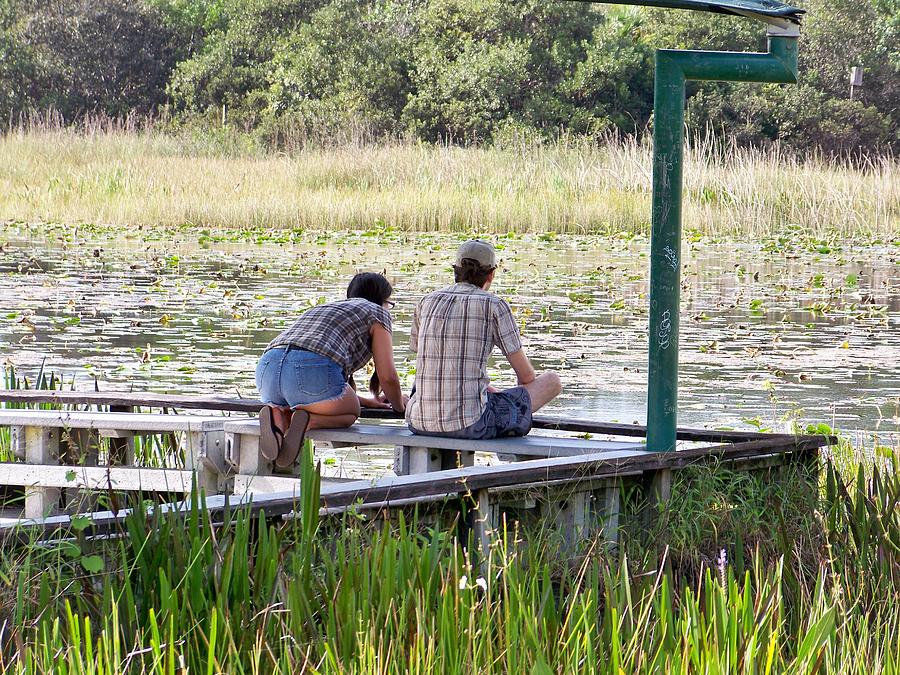 Looking At The Marsh Photograph
