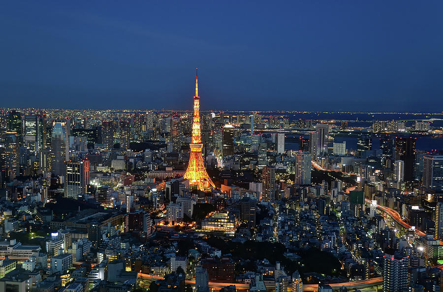 Looking At Tokyo Tower Photograph by Mhbs