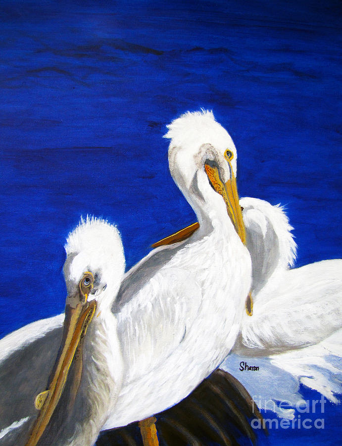 Bird Painting - Looking Back by Sharon Burger