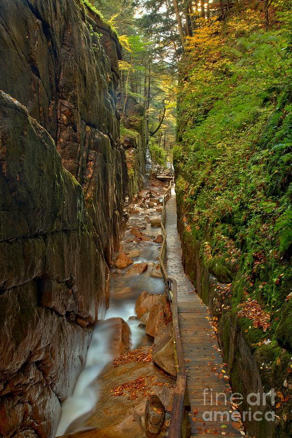 Looking Down Flume Gorge Photograph by Adam Jewell