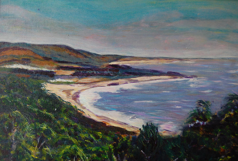 Looking Down on Half Moon Bay by Carolyn Donnell Looking Down on Half Moon Bay by Carolyn Donnell