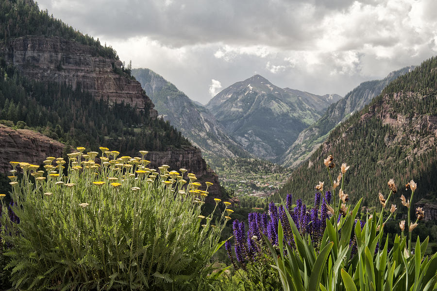 Looking down on Ouray Colorado Photograph by Melany Sarafis