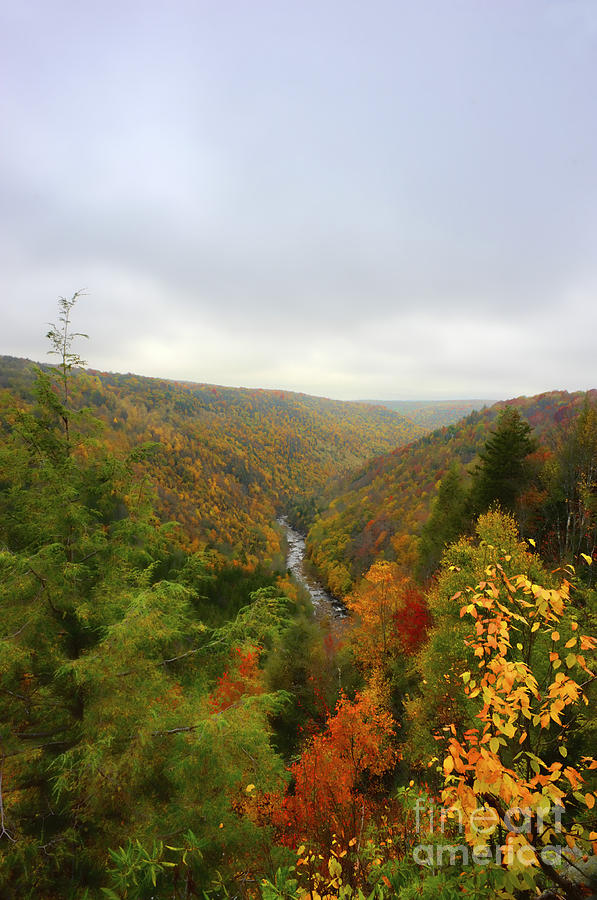 Looking downstream at Blackwater River Gorge in fall Photograph by Dan Friend