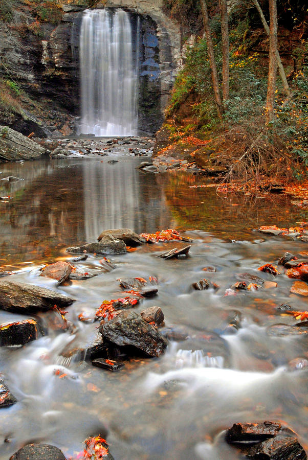 Looking Glass Falls   Pigah National Forest   Photograph by Willie Harper