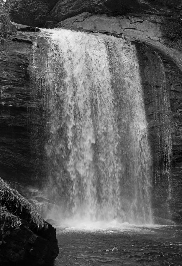 Looking Glass Falls - Black and White Photograph by Suzanne Gaff