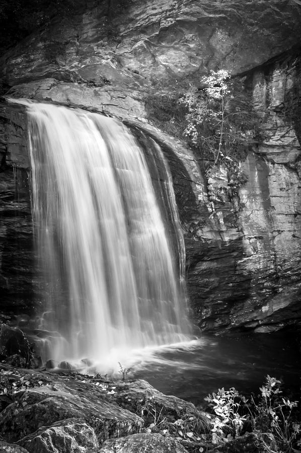 Looking Glass Falls Great Smoky Mountains Painted BW Photograph by Rich Franco