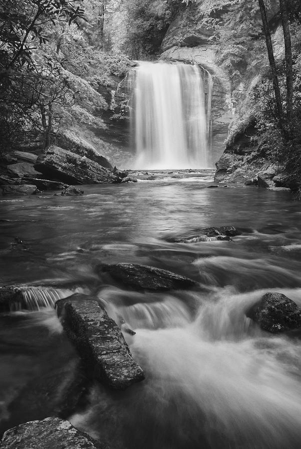 Looking Glass Falls Photograph by Photography  By Sai