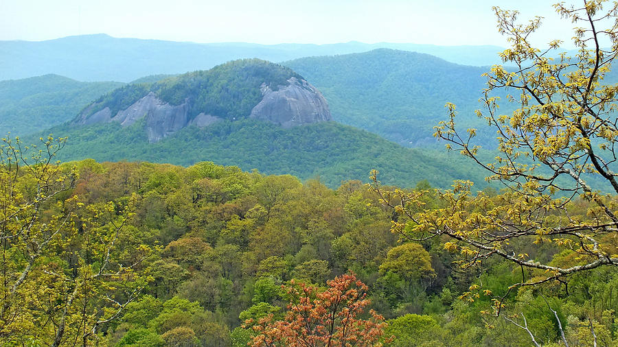 Looking Glass Rock 2 in the Spring Photograph by Duane McCullough