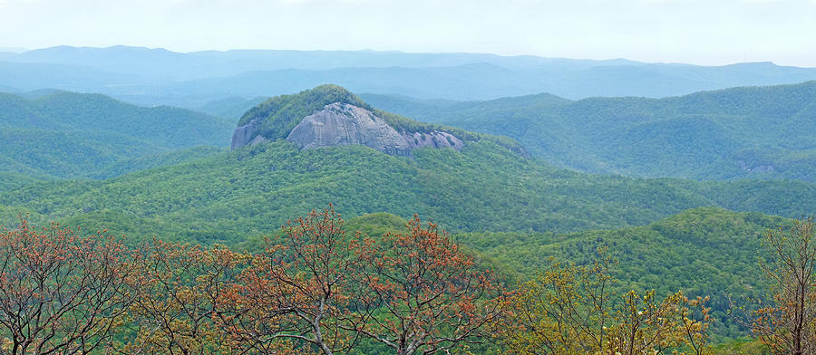 Looking Glass Rock in the Spring Photograph by Duane McCullough
