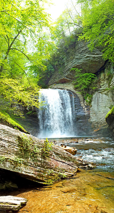 Looking Glass Waterfall in the Spring Vertical View Photograph by Duane McCullough