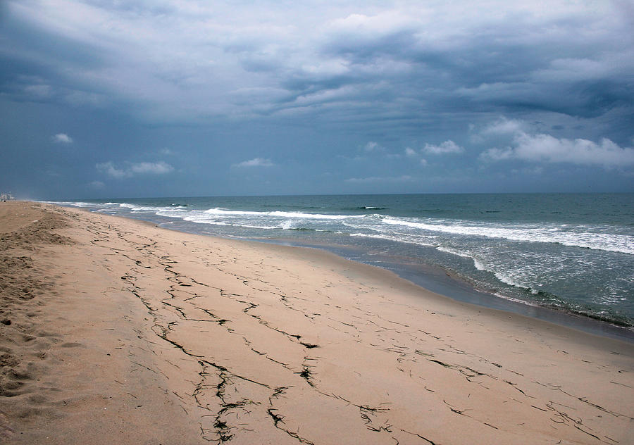 Beach Photograph - Looking North by Carolyn Stagger Cokley
