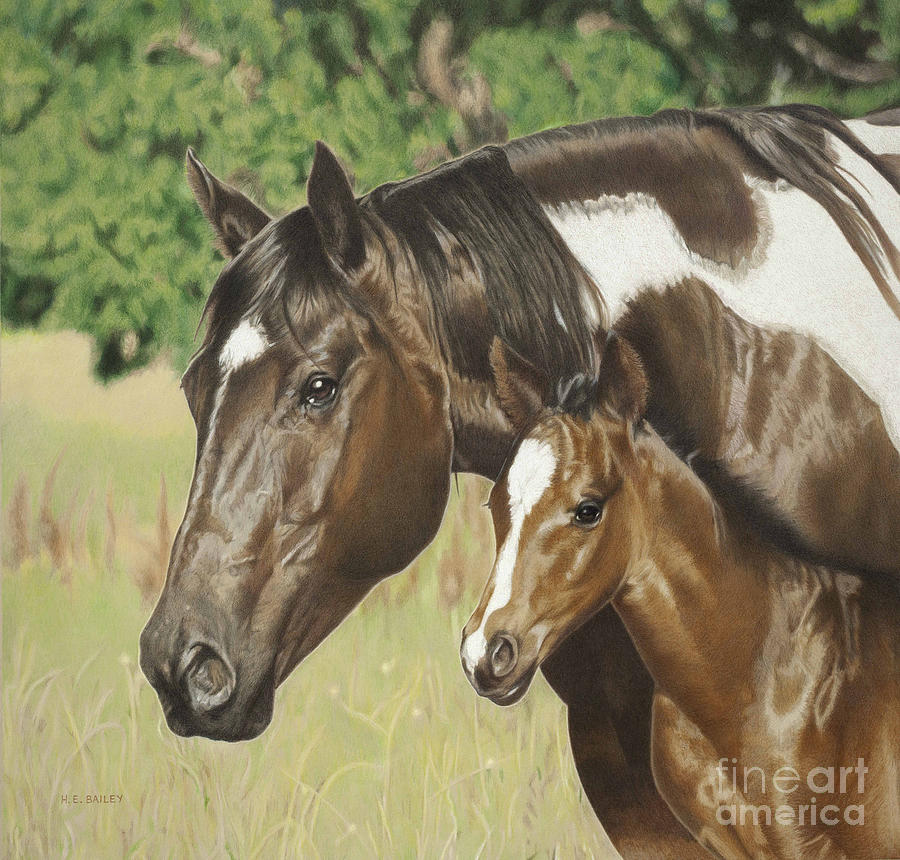 Mare And Foal Drawing - Looking Out For Me by Helen Bailey