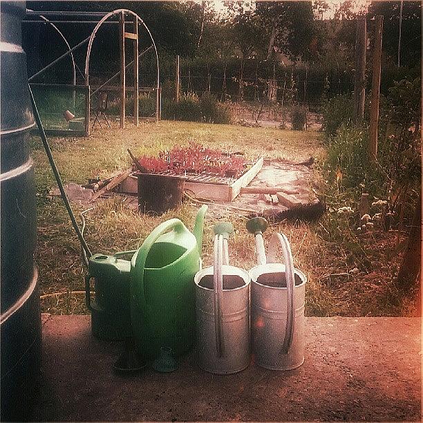 Garden Photograph - Looking Out In Amazement: #wateringcans by Linandara Linandara