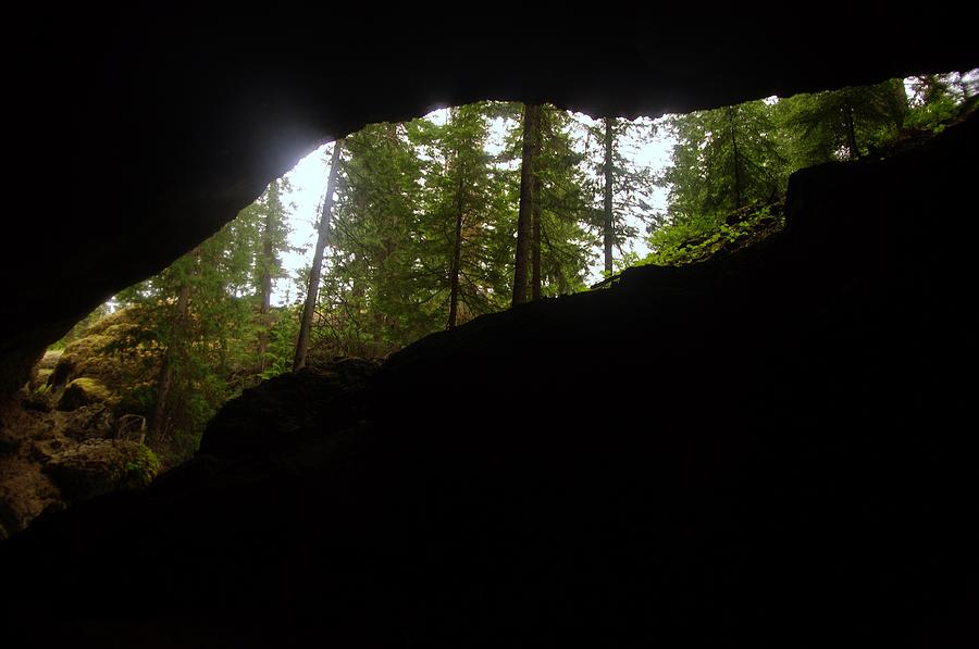 Tree Photograph - Looking Outside Boulder Cave by Jeff Swan
