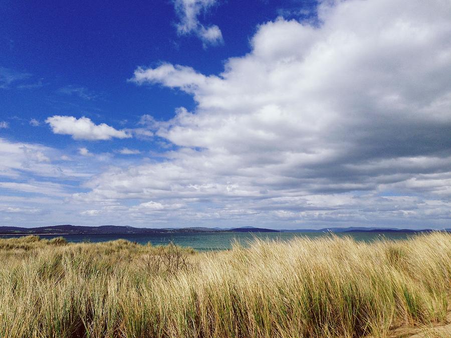 Looking Over Golden Coastal Grass Photograph by Jodie Griggs
