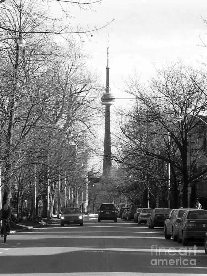 Looking South to the CN Tower Photograph by Nina Silver