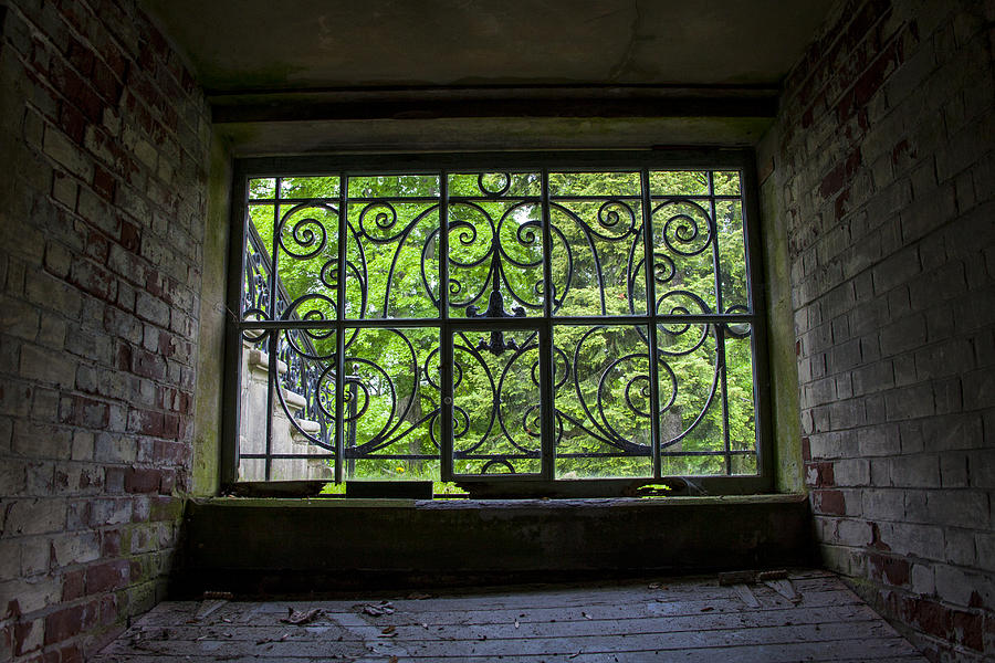 Looking Through Old Basement Window On To Vibrant Green Foliage Fine Art Photography Print  Photograph by Jerry Cowart