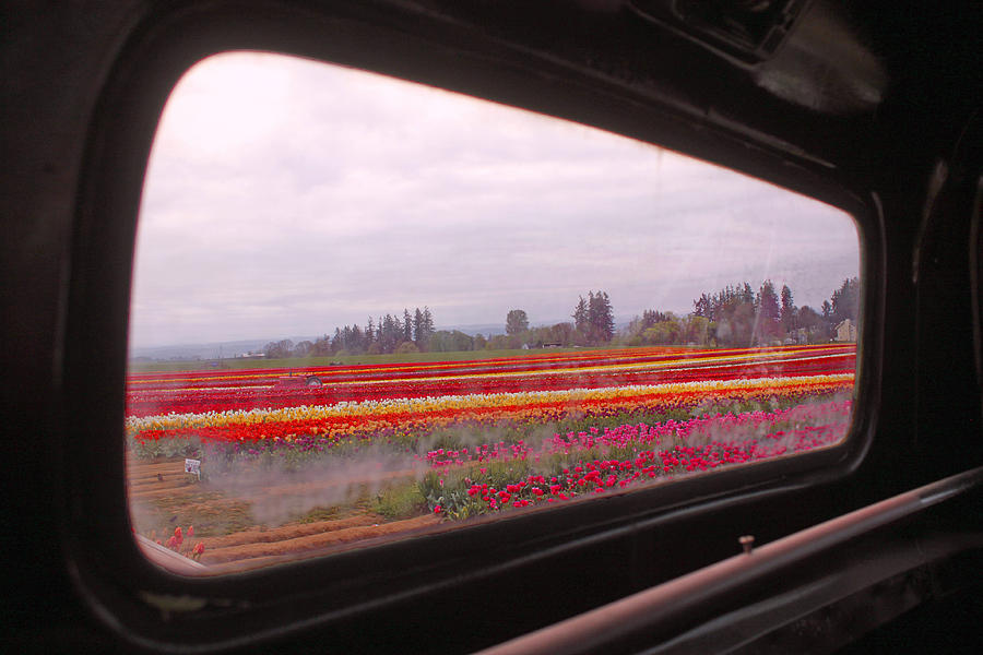 Looking Through the Rear-view Window Photograph by Kami McKeon