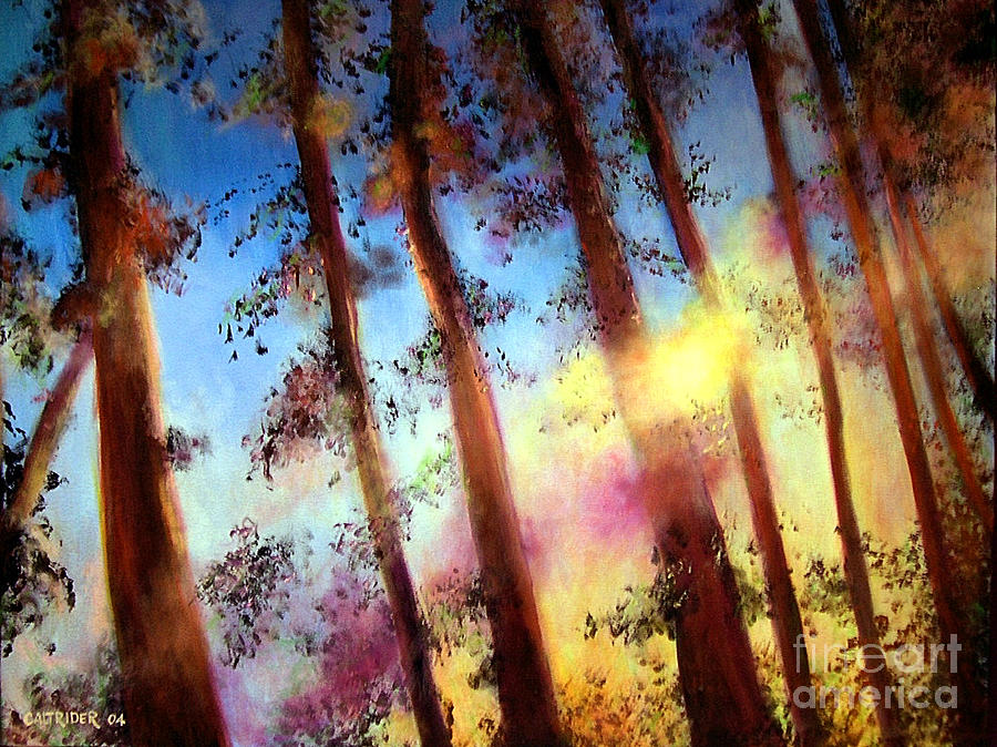 Looking Through the Trees Painting by Alison Caltrider