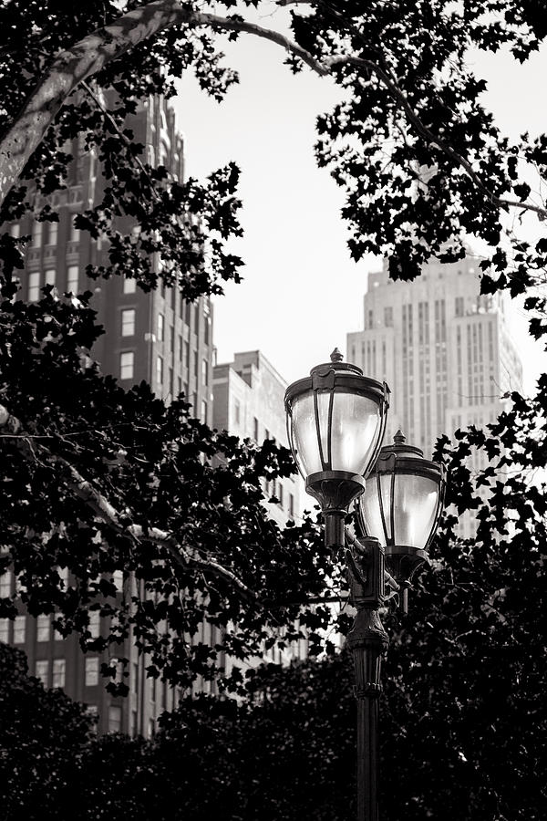 Empire State Building Photograph - Looking Through the Trees by Ovidiu Rimboaca