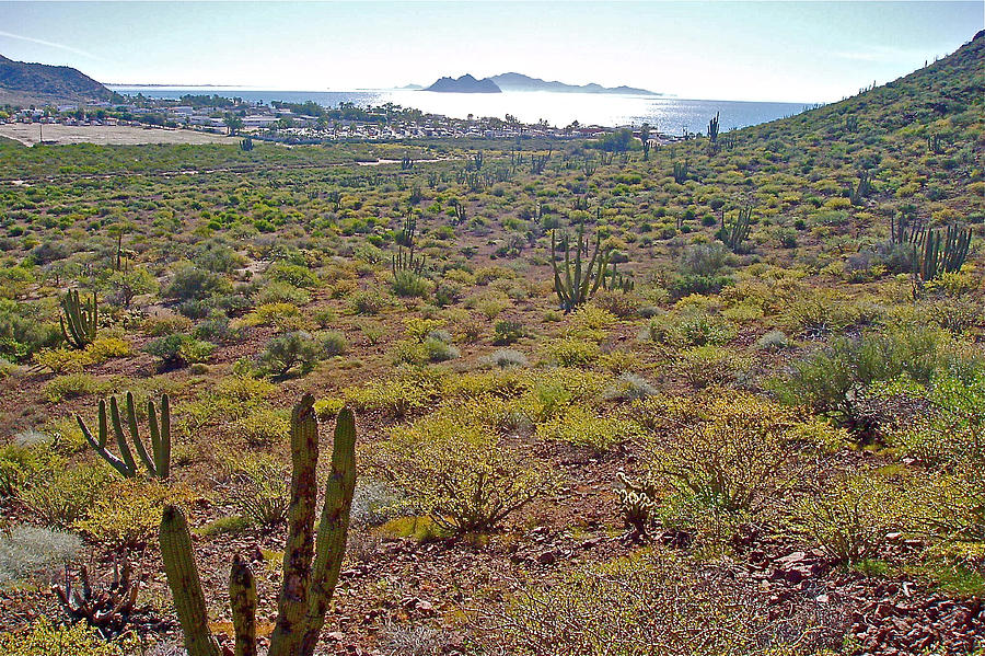 Looking toward Bahia Kino over Sonoran Desert-Sonora-Mexico Photograph by Ruth Hager