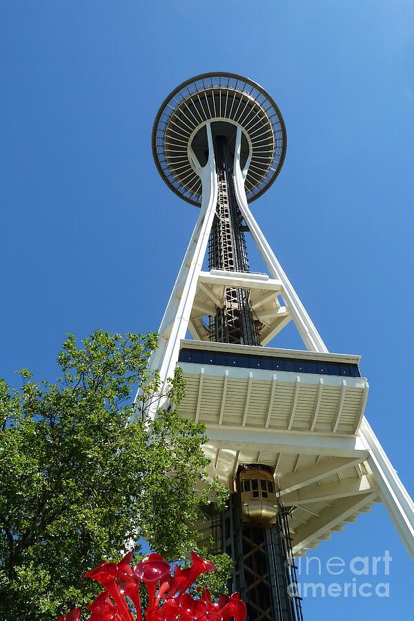 Looking up at the Space Needle Photograph by Patricia Strand