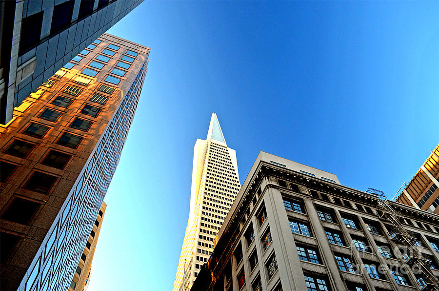 Looking up at the Transamerica Pyramid Altered Photograph by Jim Fitzpatrick