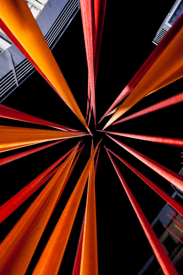 Looking Up Photograph by Jeff Stoddart Looking Up Photograph by Jeff Stoddart