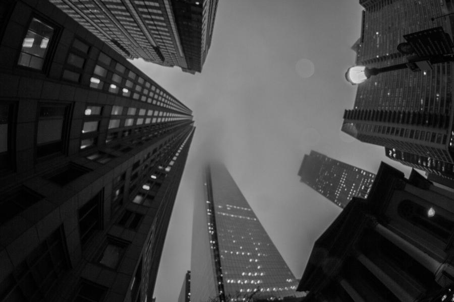 Black And White Photograph - Looking Up by Kathleen Odenthal