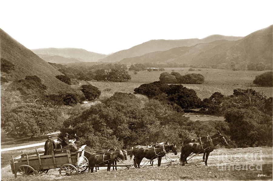 Horse Photograph - Looking up the Carmel Valley California circa 1880 by Monterey County Historical Society