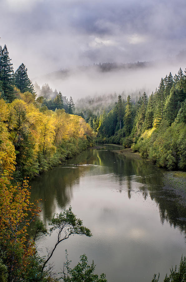 Looking up the Eel River Photograph by Greg Nyquist
