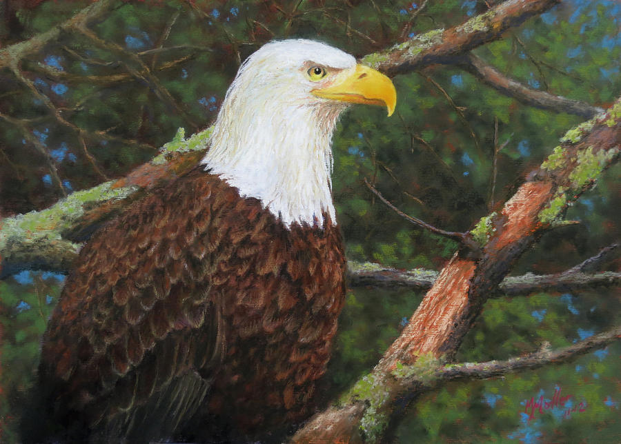 Lookout From the Pines Pastel by Marcus Moller
