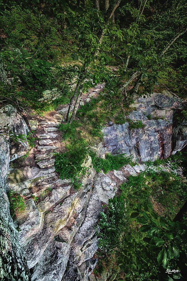 Lookout Mountain Sunset Rock Trail Photograph by Steven Llorca