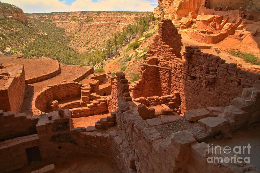 Mesa Verde National Park Photograph - Lookout Over Long House by Adam Jewell