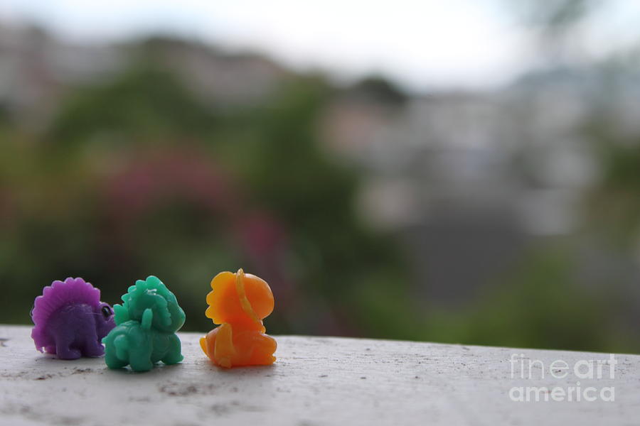 Toy Photograph - Lookout Point by Sara Ricer