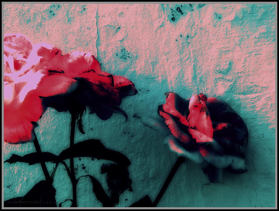 Looks Like Painted Roses Abstract Photograph by Kathy Barney