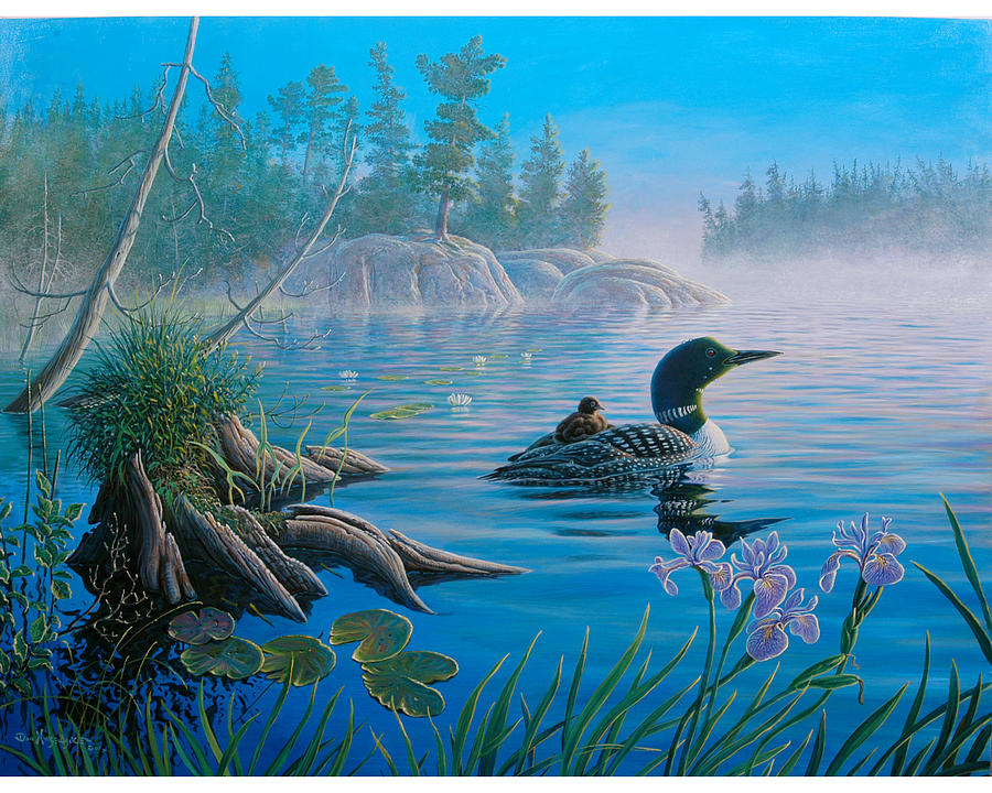 Loon Painting - Loon Family by Don Ningewance